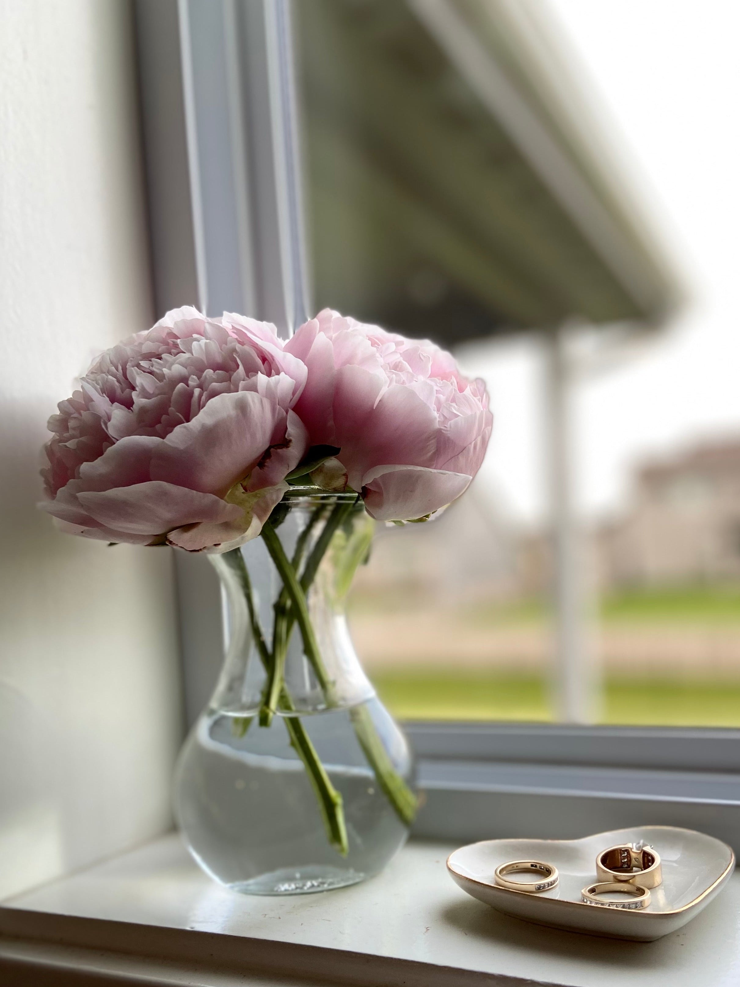 Peony - Sarah Bernhardt - 5 Stems
