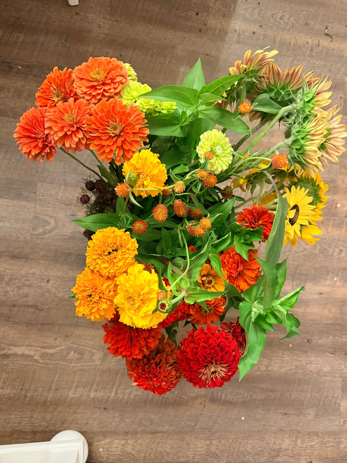 Farmer's Bucket - 50 or 100 Stems