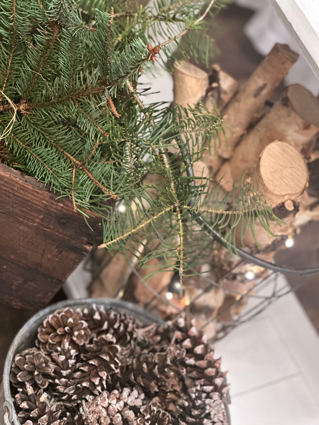 Winter Greens and Pinecones - Bundle of 5 and 10 Stems - Coming Soon!