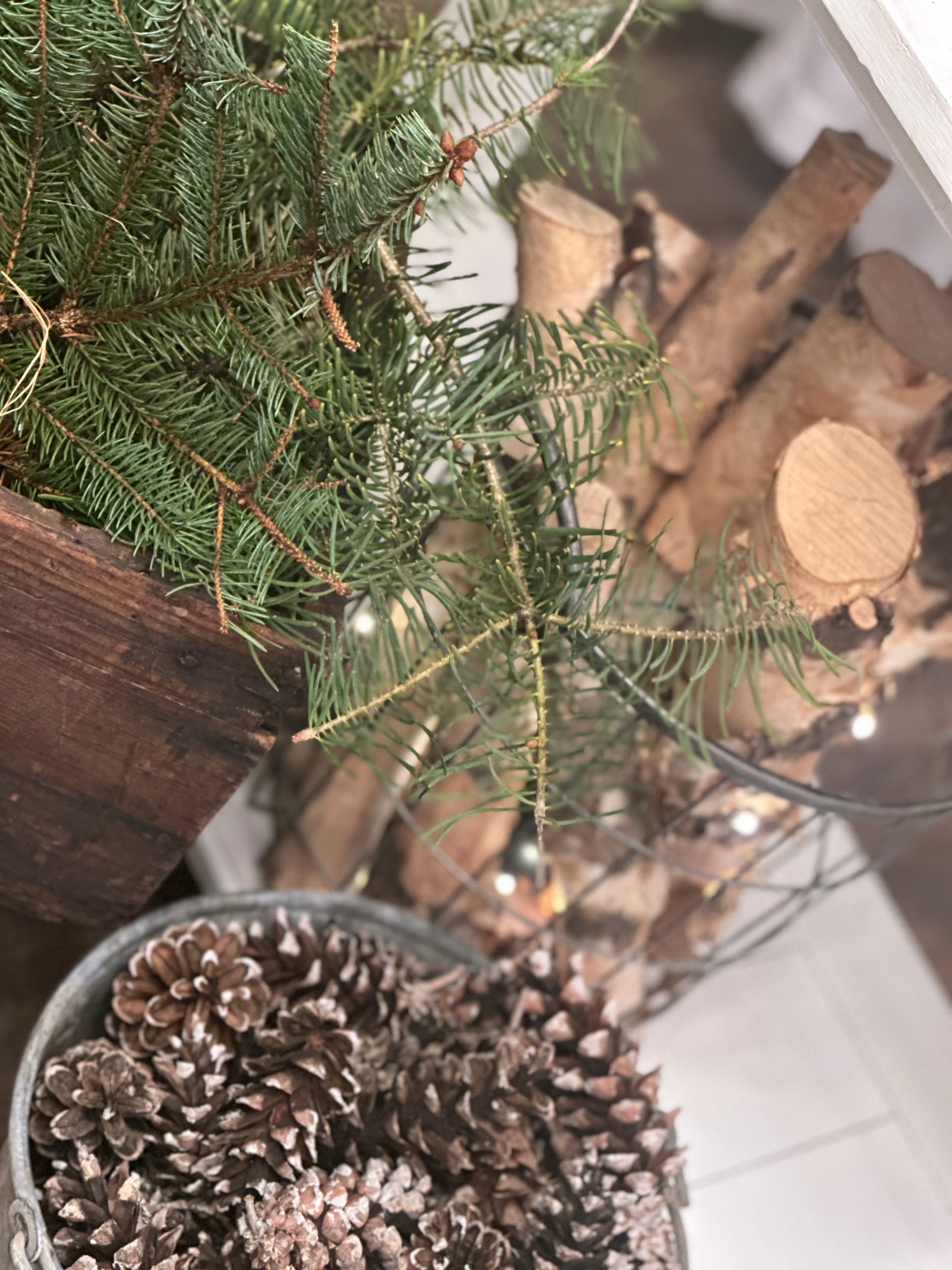Winter Greens and Pinecones - Bundle of 5 and 10 Stems - Coming Soon!