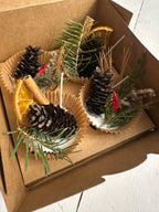 Fire Starters 4 Pack