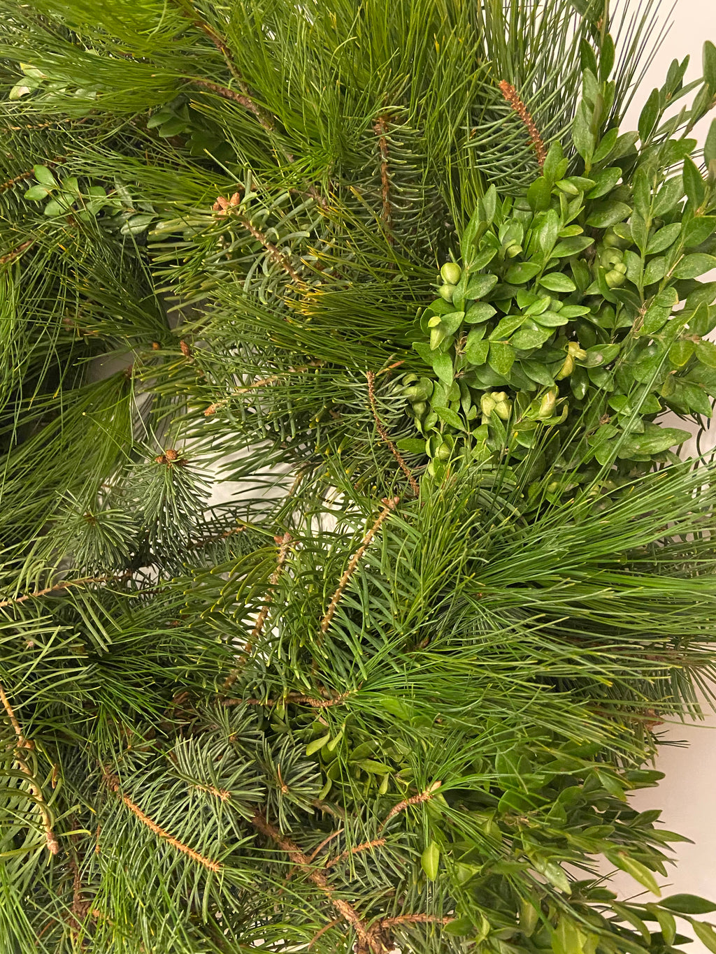 Winter Greens and Pinecones - Bundle of 5 and 10 Stems - Coming Soon!