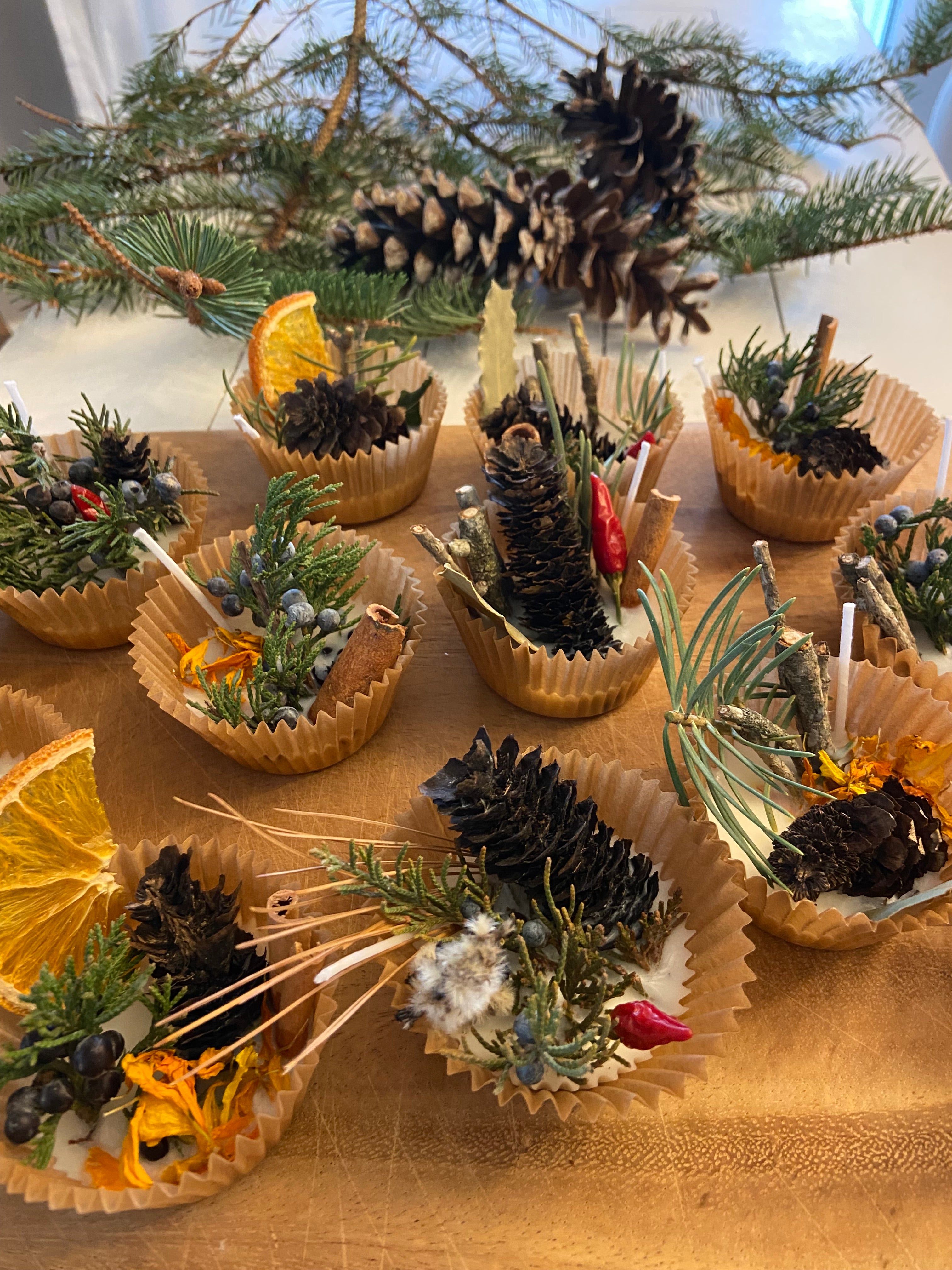 Fire Starters 4 Pack