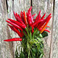 Rooster Peppers - Bundle of 5 and 10 Stems - Coming Soon!
