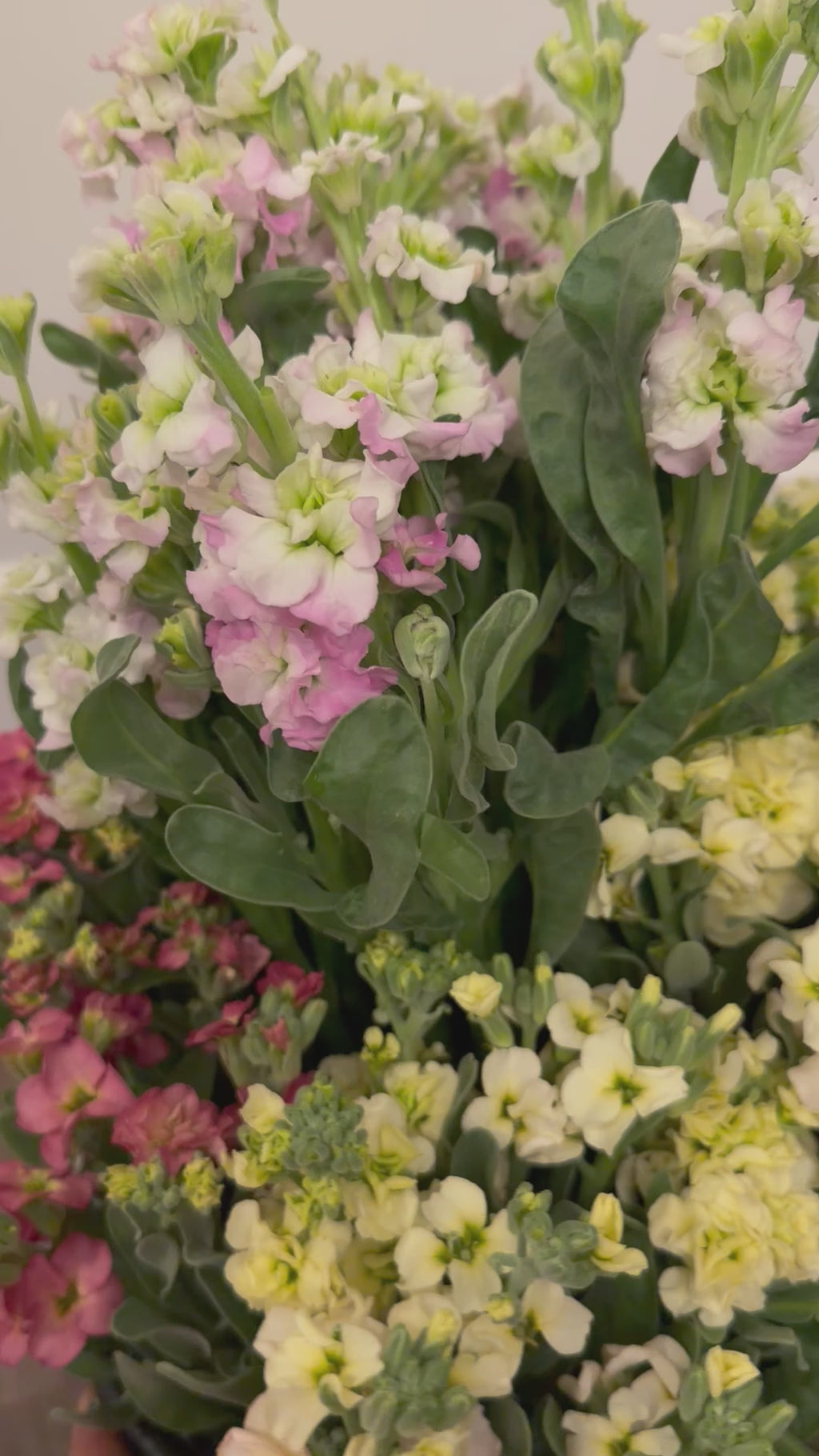 Special Event Buckets - 50 or 100 Stems