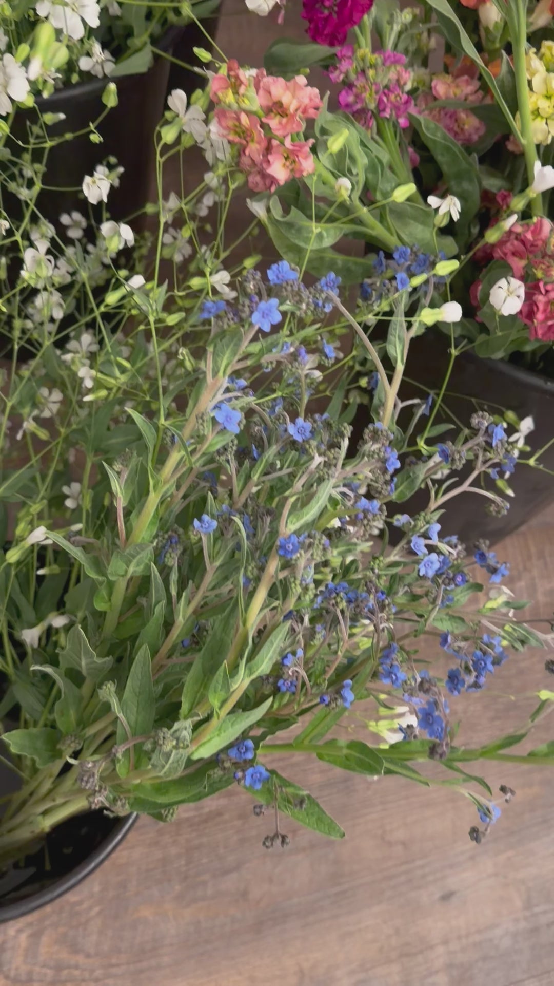 Special Event Buckets - 50 or 100 Stems
